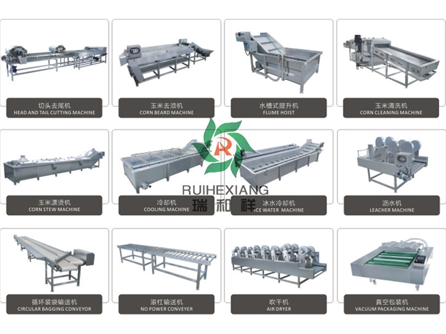 玉米加工流水線